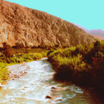 rio mkala calango
