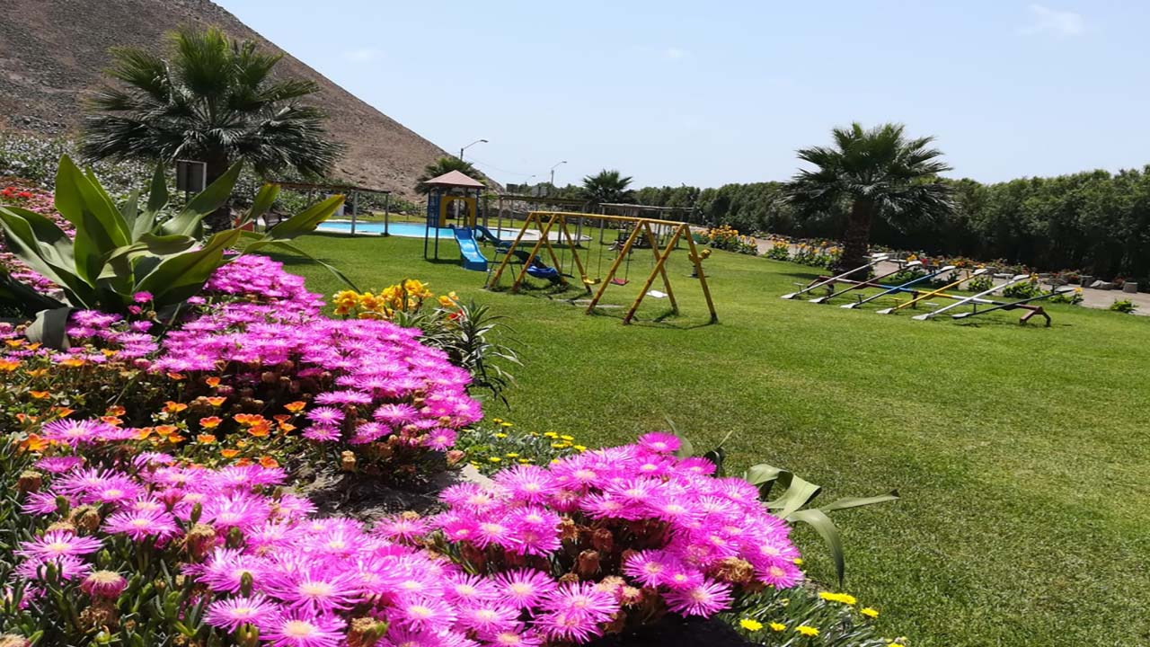 Club campestre 9