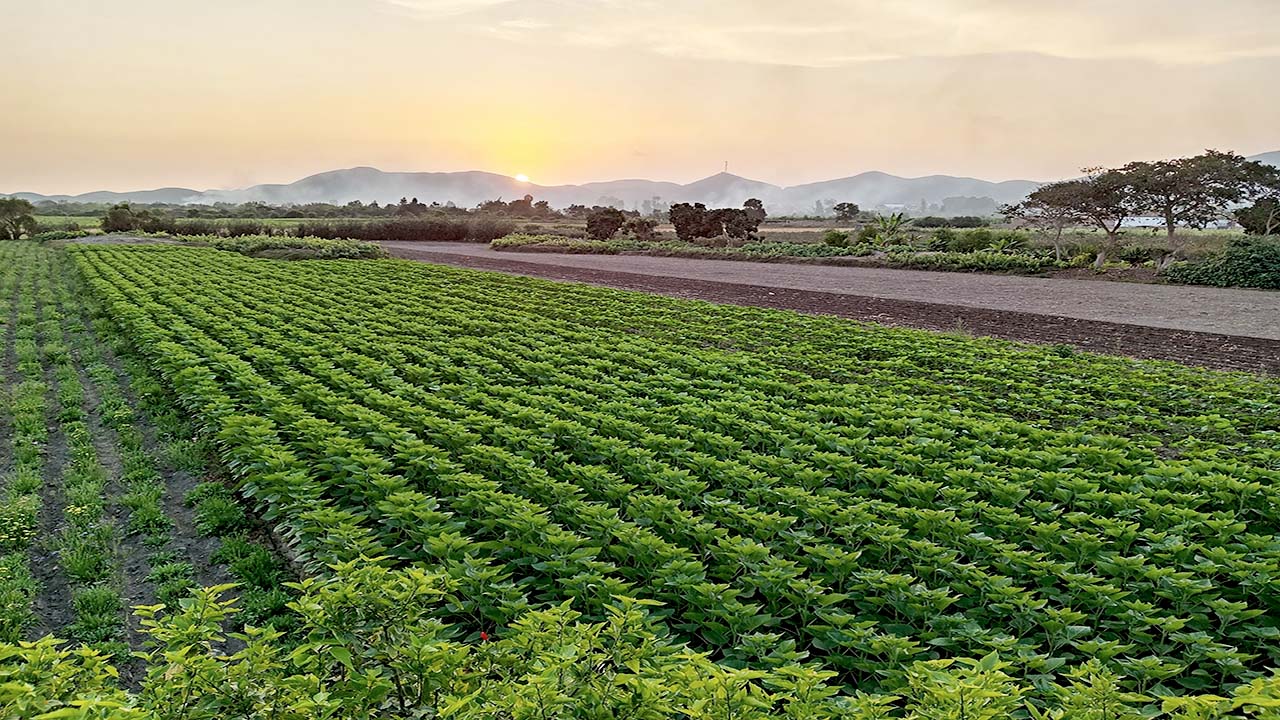 Foto Mala mirador_rev